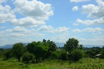 DSC_9654 (Large).JPG